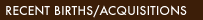 Births